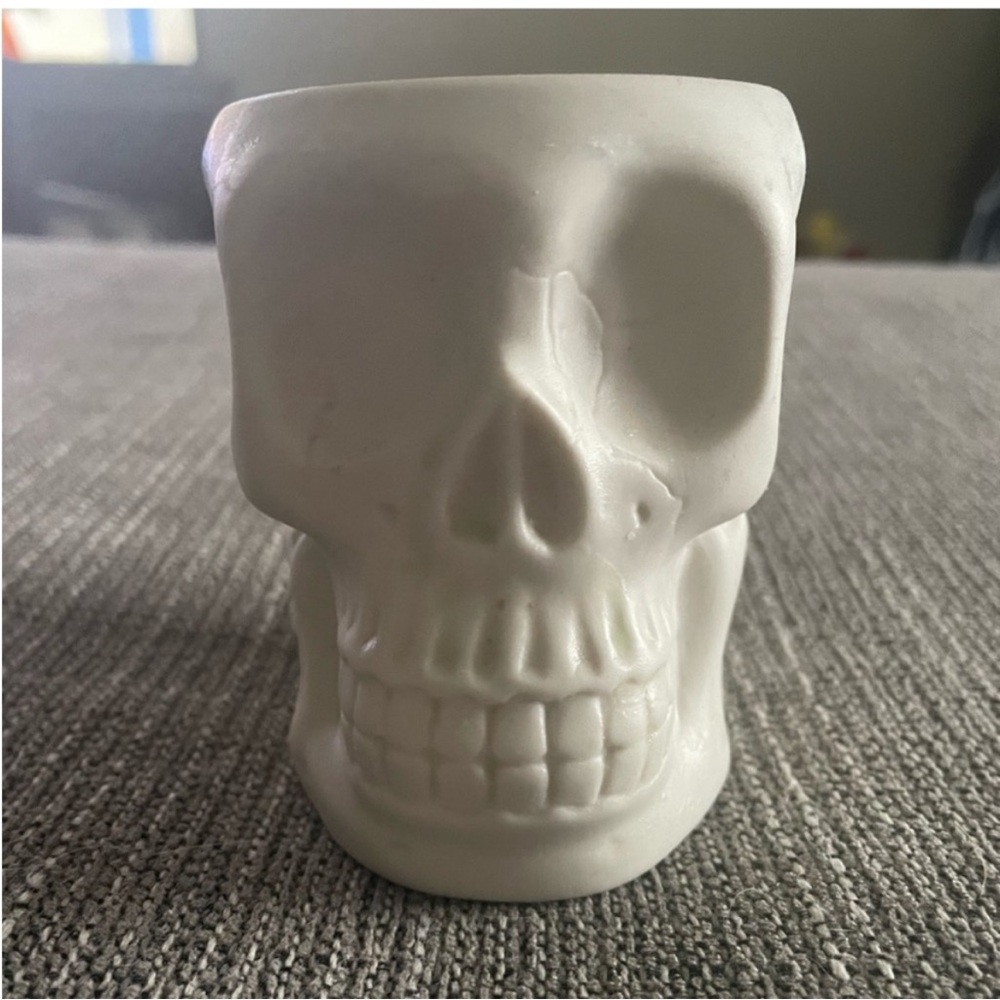 Skull Scentsy Wall Plug-in Wax Melt